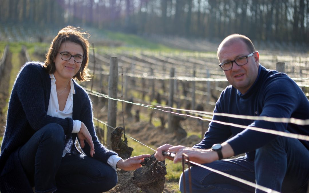 Domaine Serge Laloue