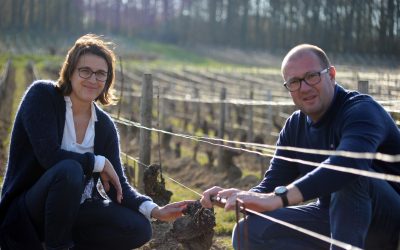 Domaine Serge Laloue