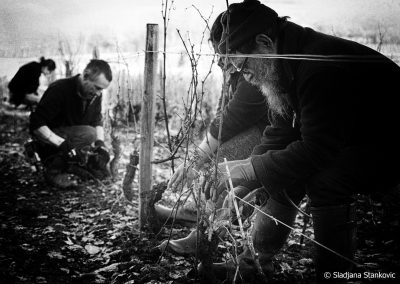 serge laloue cote de la charite
